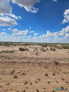 /international/us/deming-nm-110120450005/