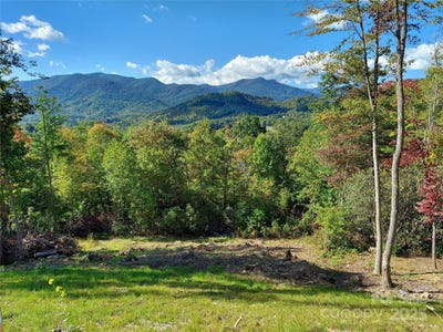 /international/us/summit-view-parkway-lot-19-spruce-pine-nc-110100474313/?lang=fr