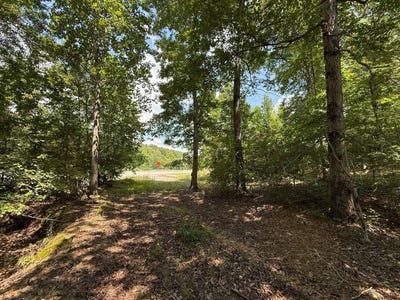 /international/us/1014-columbia-highway-hohenwald-tn-110101473293/