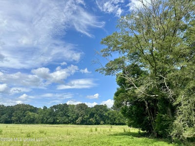 /international/us/lexington-road-pickens-ms-110109088639/?lang=th