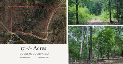 /international/us/county-road-c-228-norwood-mo-110108140681/