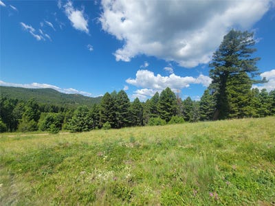 /international/us/hoover-creek-road-lot-83-helmville-mt-110107823122/