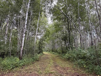 /international/us/tbd-county-road-12-kettle-river-mn-110119637628/