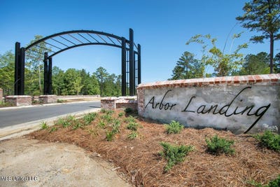 /international/us/182-crepe-myrtle-drive-lot-182-brandon-ms-110108451490/