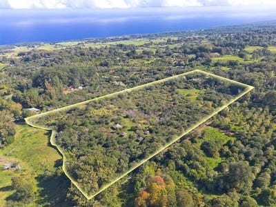 /international/us/44-3342-kula-kahiko-rd-honokaa-hi-110096332281/