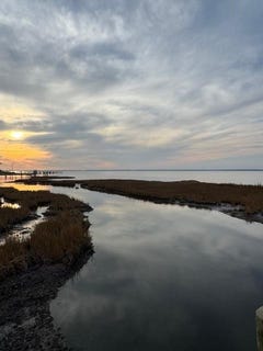 /international/us/11-wildcat-ln-lot-11-chincoteague-va-110108200443/