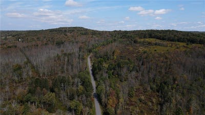 /international/us/sisson-hill-road-lot-11-unadilla-ny-110107304148/