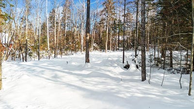 /international/us/2010-pine-road-carrabassett-valley-me-110102529576/