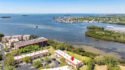 /international/us/2700-bayshore-boulevard-dunedin-fl-110098381029/