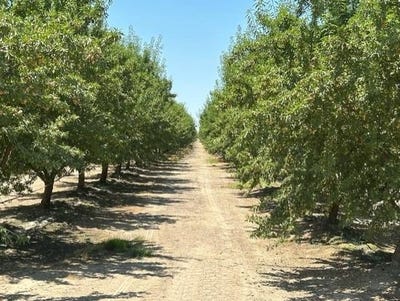 /international/us/0-road-23-madera-ca-110097694147/