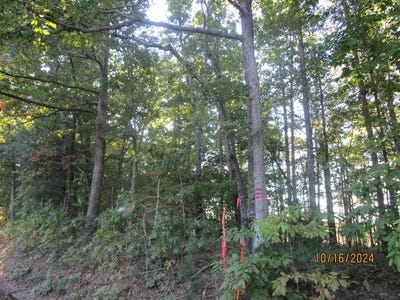 /international/us/626-rubermont-victoria-va-110095214006/