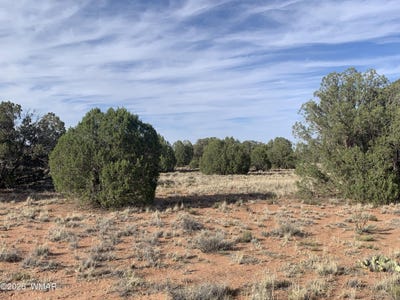 /international/us/110-mesa-redondo-ranch-road-concho-az-110108635170/