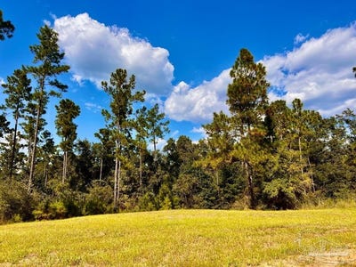 /international/us/morgans-branch-lot-4-molino-fl-110102662181/