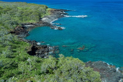 /international/us/56-101-pualani-rd-hawi-hi-110098484207/
