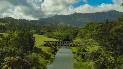 /international/us/kuhio-hwy-kilauea-hi-110102981191/