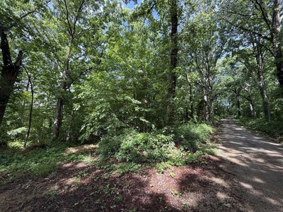 /international/us/2-62-ac-s-pitcher-road-morgantown-ky-110107857530/