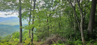 /international/us/30-top-of-the-ridge-road-lot-30-cashiers-nc-110101640836/