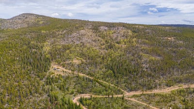 /international/us/540-elk-ridge-rd-red-feather-lakes-co-110108476598/