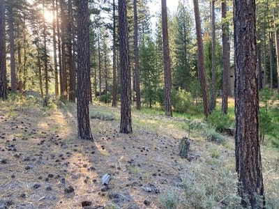 /international/us/235-black-bear-trail-lot-20-clio-ca-110108109783/