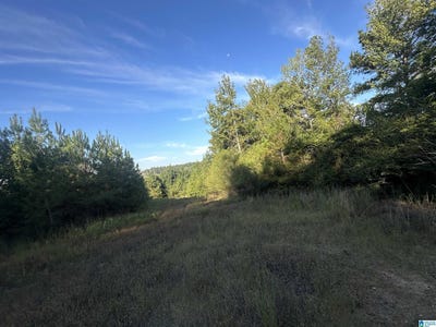 /international/us/county-road-317-lot-1-stanton-al-110110378862/