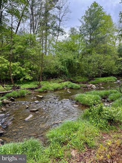 /international/us/trout-run-road-lot-1-2-wardensville-wv-110107994309/