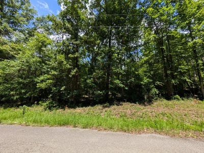 /international/us/lot-507-lakeshore-dr-abbeville-al-110100254029/