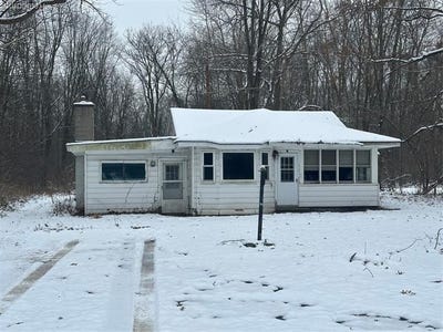 /international/us/37207-ecorse-road-romulus-mi-110107717116/