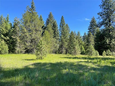 /international/us/nhn-s-shore-drive-trout-creek-mt-110099880610/
