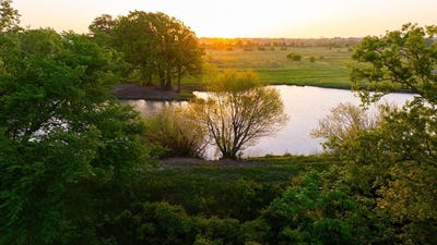 /international/us/1020-county-road-751-donie-tx-110098780722/