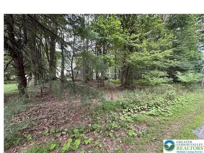 /international/us/1151-lexington-avenue-coolbaugh-twp-pa-110106099161/