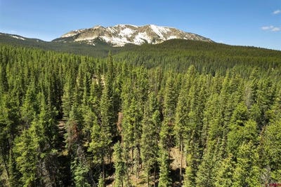 /international/us/5350-wildcat-trail-crested-butte-co-110100162369/
