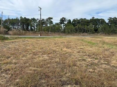 /international/us/main-st-lot-76-chincoteague-va-110102996417/