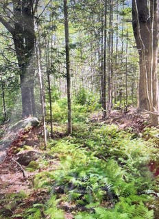 /international/us/3-stonewyck-lane-damariscotta-me-110119985266/