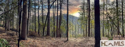 /international/us/saratay-falls-drive-lot-9-cashiers-nc-110107017144/