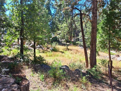 /international/us/41290-kokanee-lane-shaver-lake-ca-110106535065/