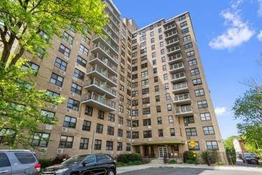/international/us/1966-new-bold-bronx-ny-110102778361/