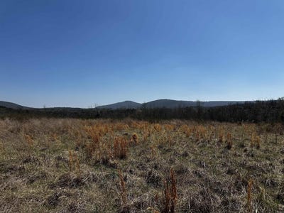 /international/us/horton-hill-road-mountain-view-ar-110106849473/