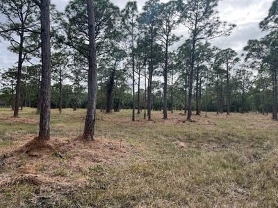 /international/us/0000-govan-avenue-malabar-fl-110095538615/