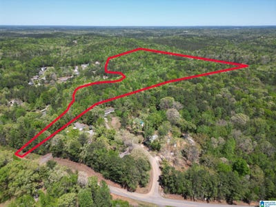 /international/us/0-clements-road-cottondale-al-110091408136/?lang=zh-cn