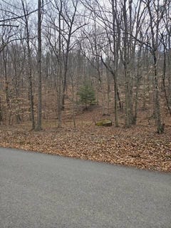 /international/us/2185-little-sand-run-road-buckhannon-wv-110108444914/