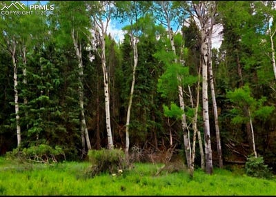 /international/us/524-spring-valley-lane-florissant-co-110094426160/