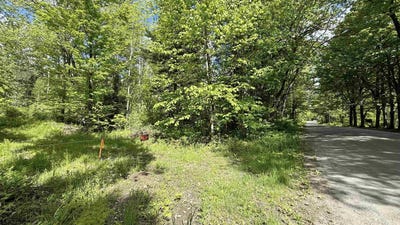 /international/us/716-cemetery-road-johnson-vt-110108540963/