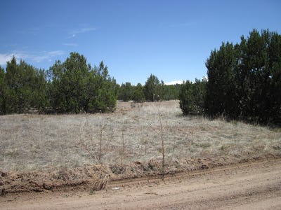 /international/us/110-jesse-james-road-edgewood-nm-110110321621/