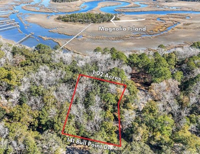 /international/us/141-bull-point-drive-seabrook-sc-110097227243/