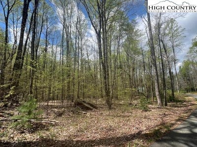 /international/us/sonterra-drive-lot-45-lansing-nc-110106699706/