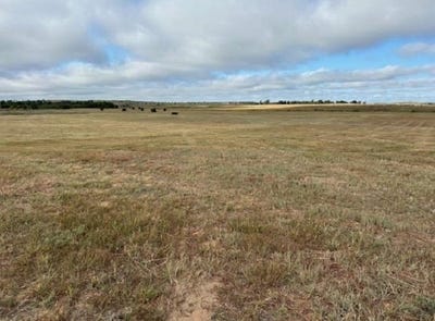 /international/us/county-road-202-43-woodward-ok-110103473769/