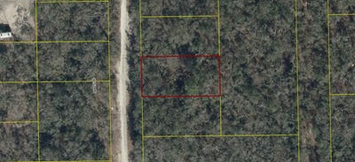 /international/us/04-01s-12e-09475-180060-181st-road-live-oak-fl-110108900935/