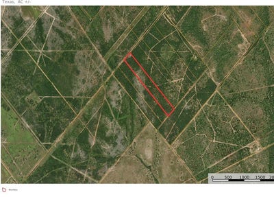 /international/us/01-cr-147-lot-0-george-west-tx-110120087969/