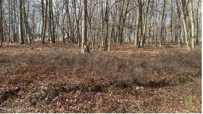 /international/us/lot-288-doe-loop-bushkill-pa-110095588484/