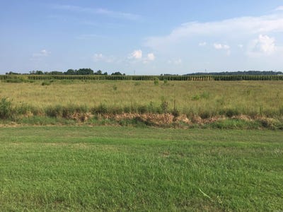 /international/us/toltec-mounds-road-lot-31-england-ar-110104509668/